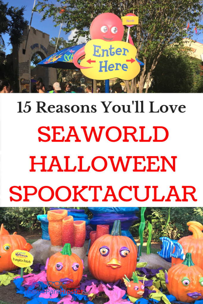 SeaWorld Spooktacular Halloween Complete Guide with colorful pumpkin patch. Keep reading to learn about the SeaWorld Spooktacular Halloween event! #SeaWorld #halloween