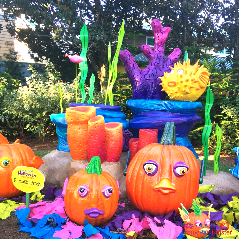 2023 SeaWorld Spooktacular Halloween with colorful pumkin patch. Keep reading to learn about the 2023 SeaWorld Spooktacular Halloween event!