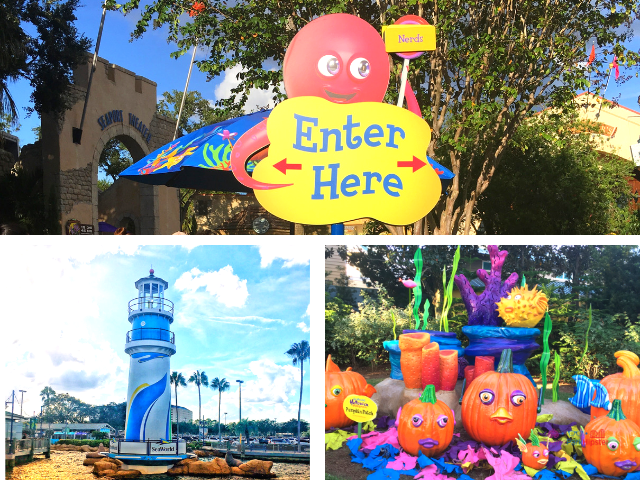 SeaWorld Spooktacular Halloween with colorful pumpkin patch