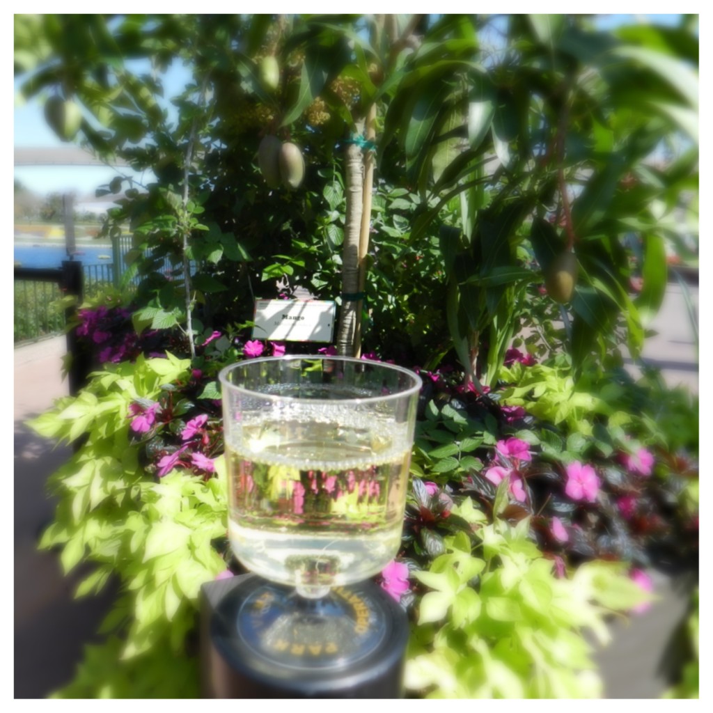 White Wine Pairings at Epcot. Keep reading to learn more about the Epcot International Food and Wine Festival Menu.