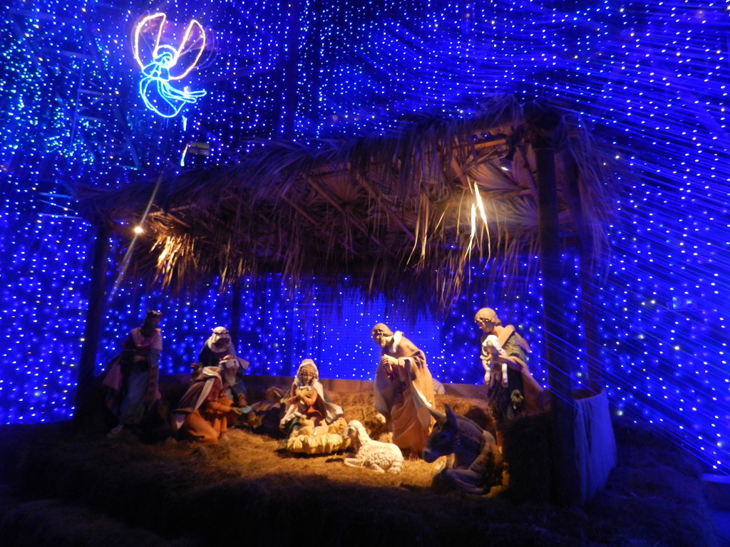 Nativity Hollywood Studios: The Osborne Spectacle of Dancing Lights! Keep reading to get the best Disney Christmas quotes for the holidays!