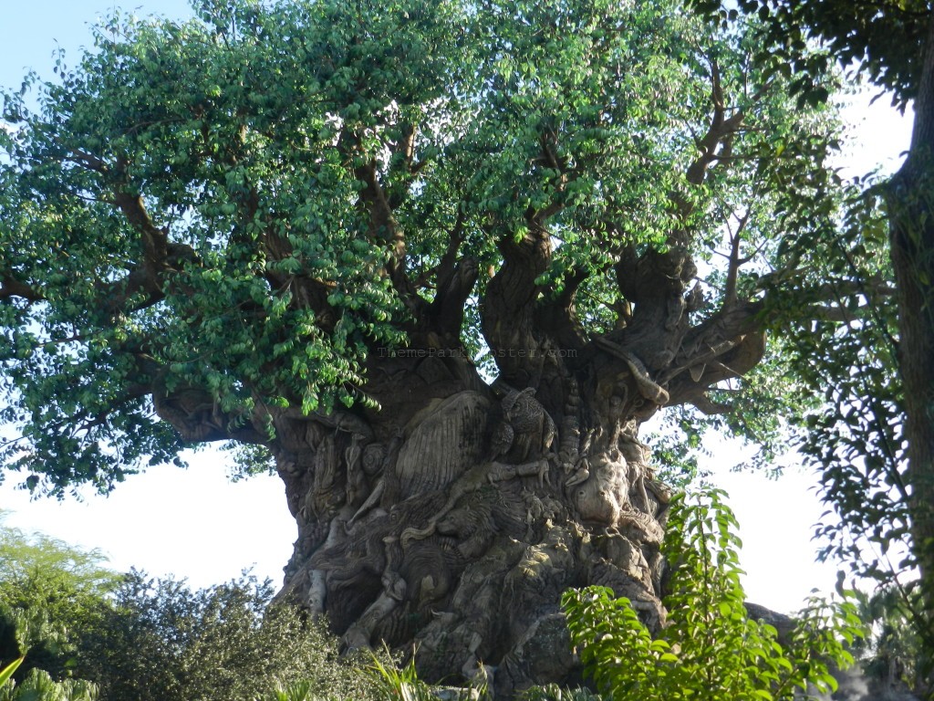Animal Kingdom Tree of Life. Continue reading to learn how to celebrate Disney World 4th of July!