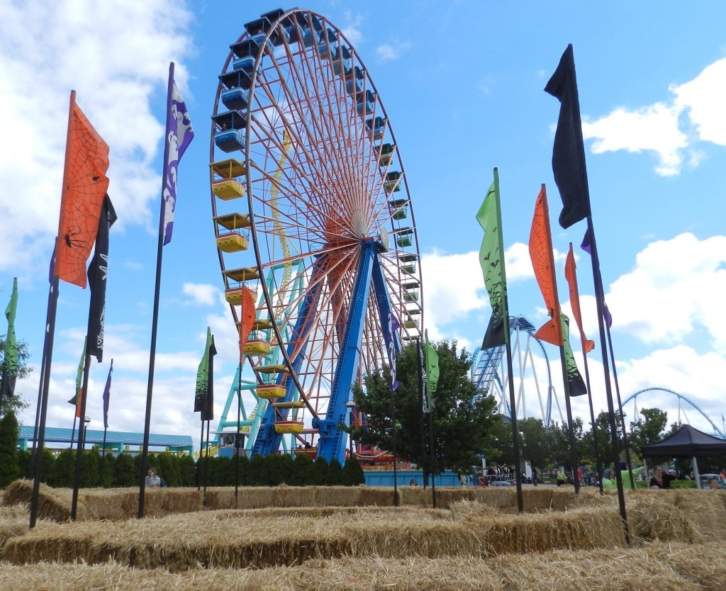 Alternative Entrances to Cedar: Access directly to Lake Eerie. Colorful Ferris Wheel. Keep reading for more Cedar Point tips and tricks for beginners.