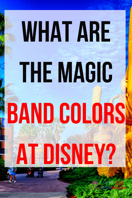 What are the Magic Band Colors at Disney World