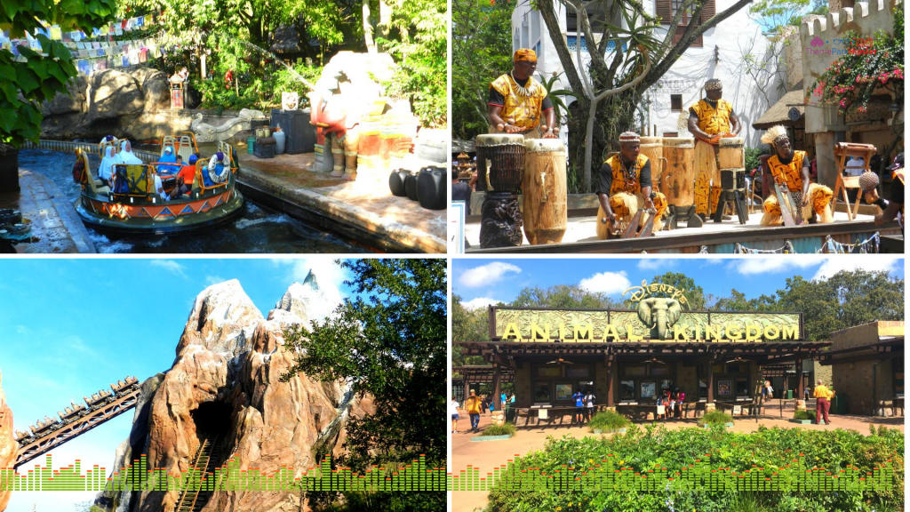 Animal Kingdom Solo Tips Lush Vegetation and attractions at Disney.