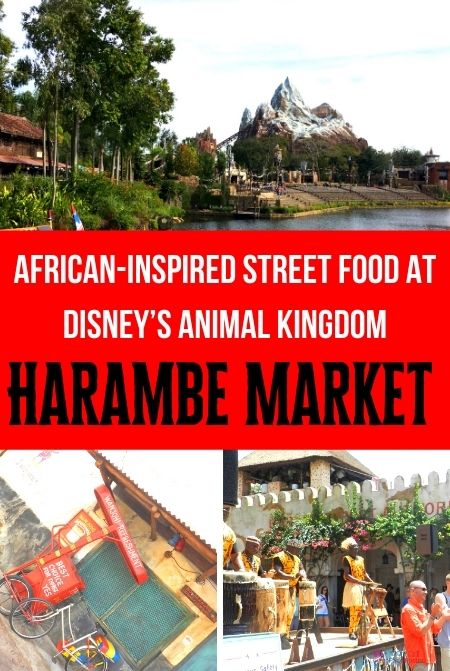 Harambe Market at Disney Animal Kingdom