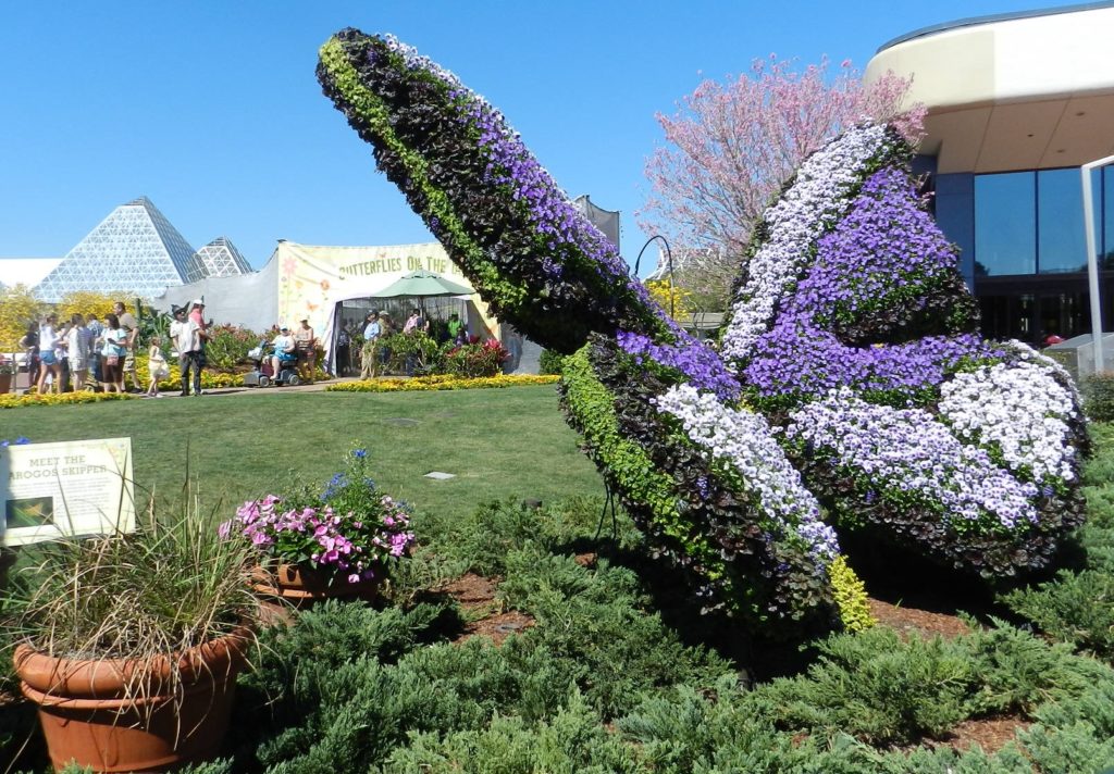 Butterfly Topiary at the Flower and Garden Festival 2016. Keep reading to see the best epcot flower and garden topiaries through the years!
