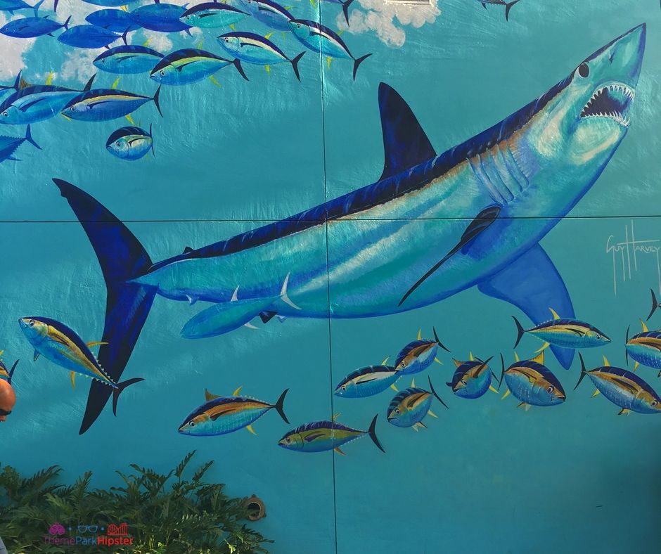 Mako Roller coaster SeaWorld Orlando Guy Harvey Mural.