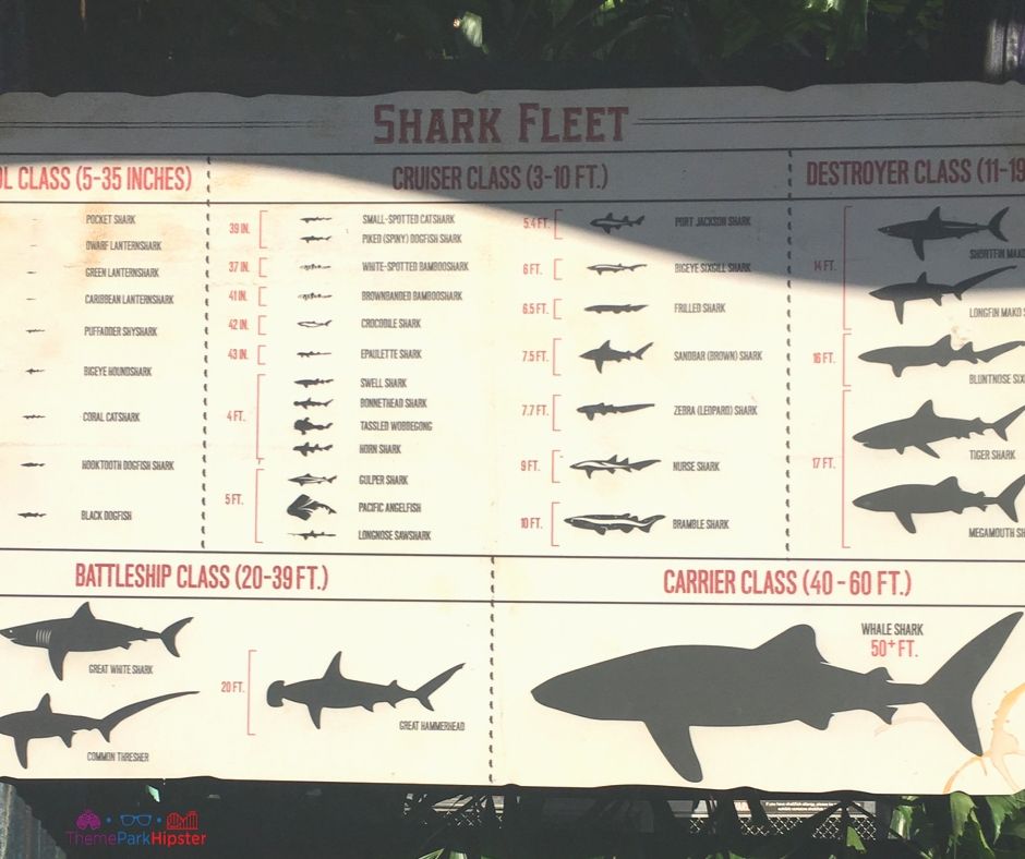Mako SeaWorld Orlando Shark Fleet Education. Keep reading to learn about Mako roller coaster at SeaWorld Orlando Resort.
