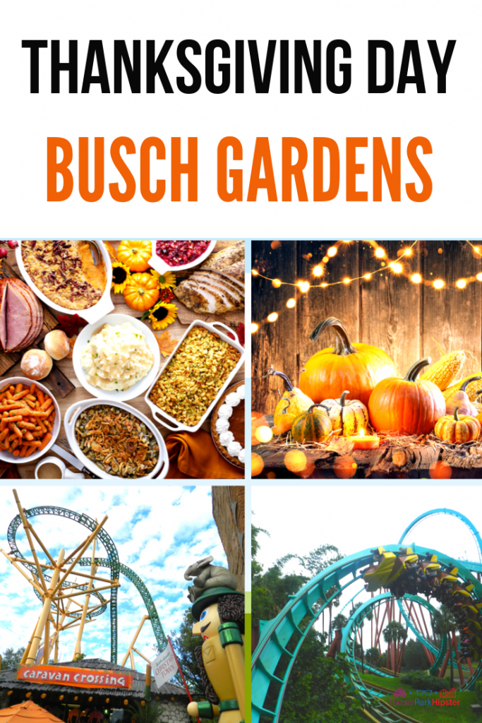 Busch Gardens at Thanksgiving Day Dinner with Colorful Roller Coasters and Orange Pumpkins and Pumpkin Pie