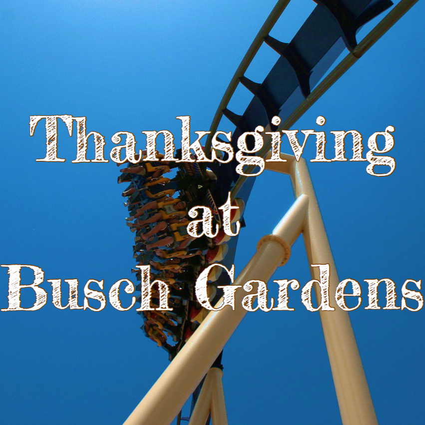 Thanksgiving Day Busch Gardens with Blue Montu Roller Coaster