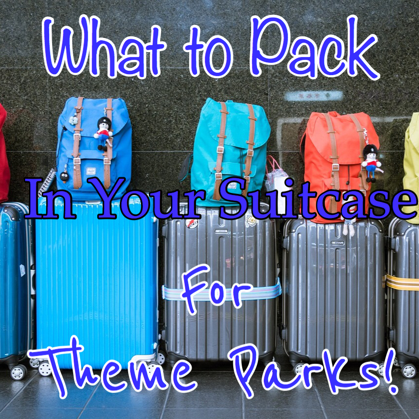Theme park checklist. What to pack for Disney World.