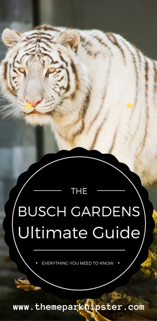 Busch Gardens Guide with white-black striped tiger.