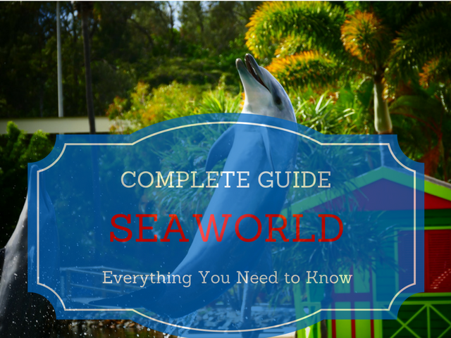 The best way to do SeaWorld Orlando