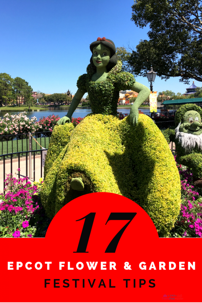 Top tips for EPCOT flower and garden festival with Snow White topiaries. Keep reading for the best Epcot International Flower and Garden Festival tips!