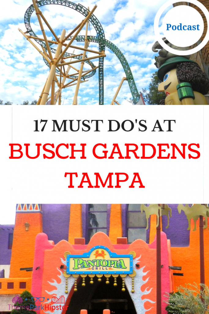 MUST DO AT BUSCH GARDENS TAMPA Yellow Cheetah Hunt Roller Coaster. Things to do at Busch Gardens Tampa.