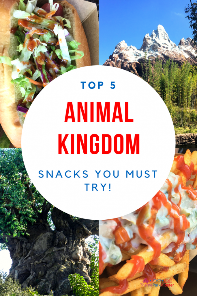 Best Animal Kingdom Snacks with mountain and fries in the background.