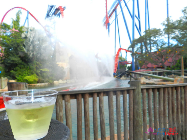 Sheikra Busch Gardens Red and Blue Roller Coaster with white wine.