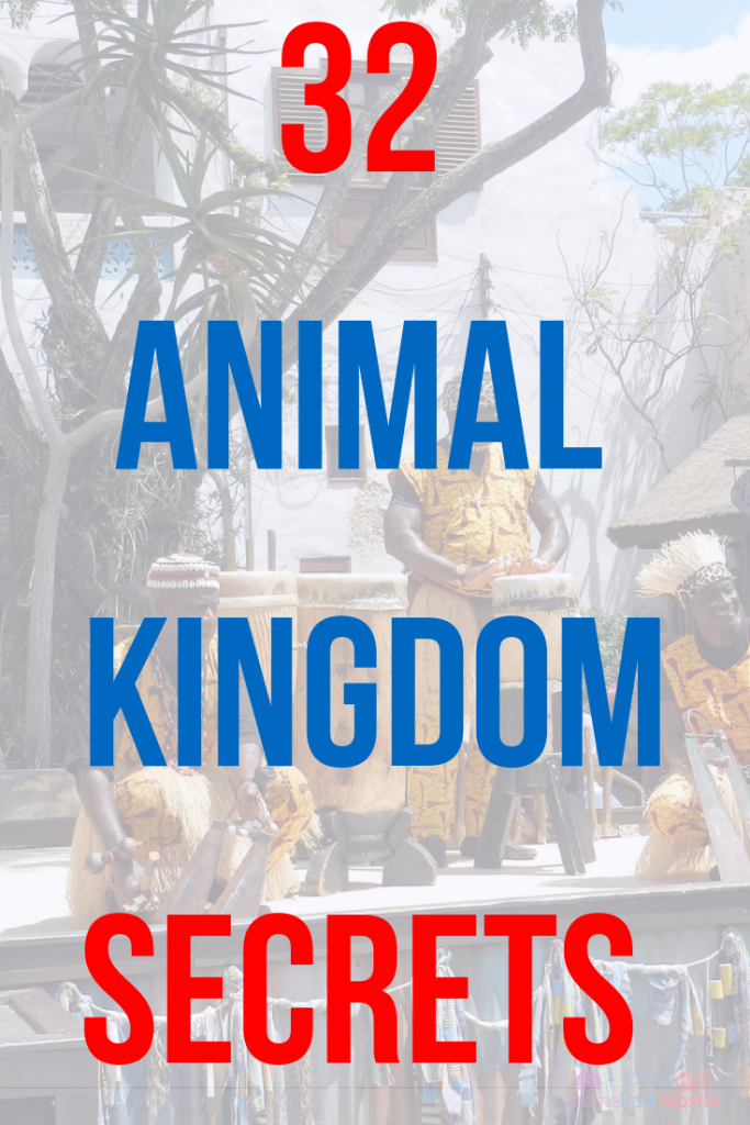 Animal Kingdom Secrets in Africa at Disney #disneysecrets #disneyplanning