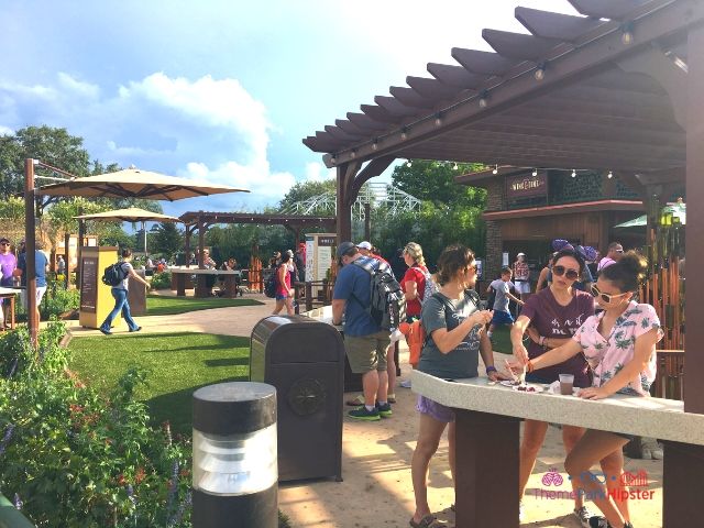 Epcot Food and Wine Festival 2023 Theme Park Alone. Keep reading to get the best Epcot Food and Wine Festival Tips!