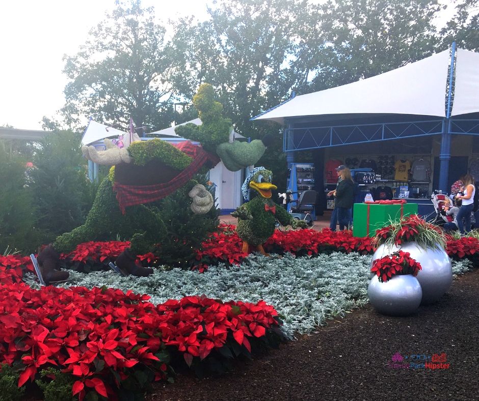 Epcot Festival of the Holidays Park Entrance with Topiary Goofy Holiday Decor. Keep reading to learn more about the Epcot Candlelight Processional and Christmas at Disney World. 