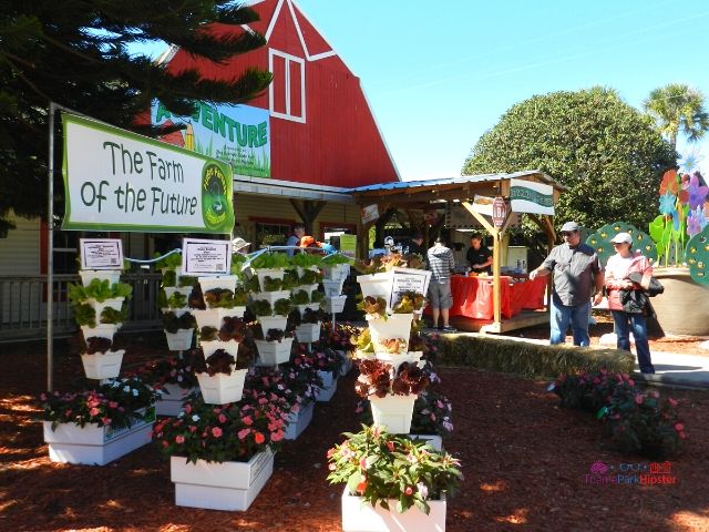 2024 Florida State Fair Hydroponics Gardening with Red Barn House for the Ag Venture Education. Keep reading to get the full Florida State Fair Guide with Tickets, Food, Concerts, Rides and More!