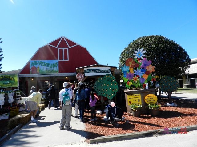 2024 Florida State Fair Making Oranges with Red Barn House for the Ag Venture Education. Keep reading to get the full Florida State Fair Guide with Tickets, Food, Concerts, Rides and More!