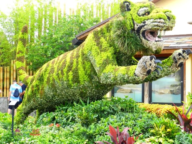 Busch Gardens Tampa Bay Tiger Topiary. Keep reading to get the Groupon Busch Gardens Tampa Deals.