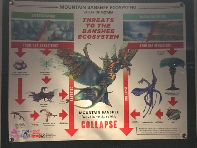 Flight of Passage Queue Banshee Ecosystem Chart at Disney Animal Kingdom