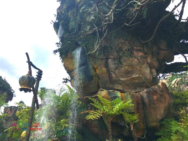 Flight of Passage Waterfalls in Outdoor Area at Disney Animal Kingdom