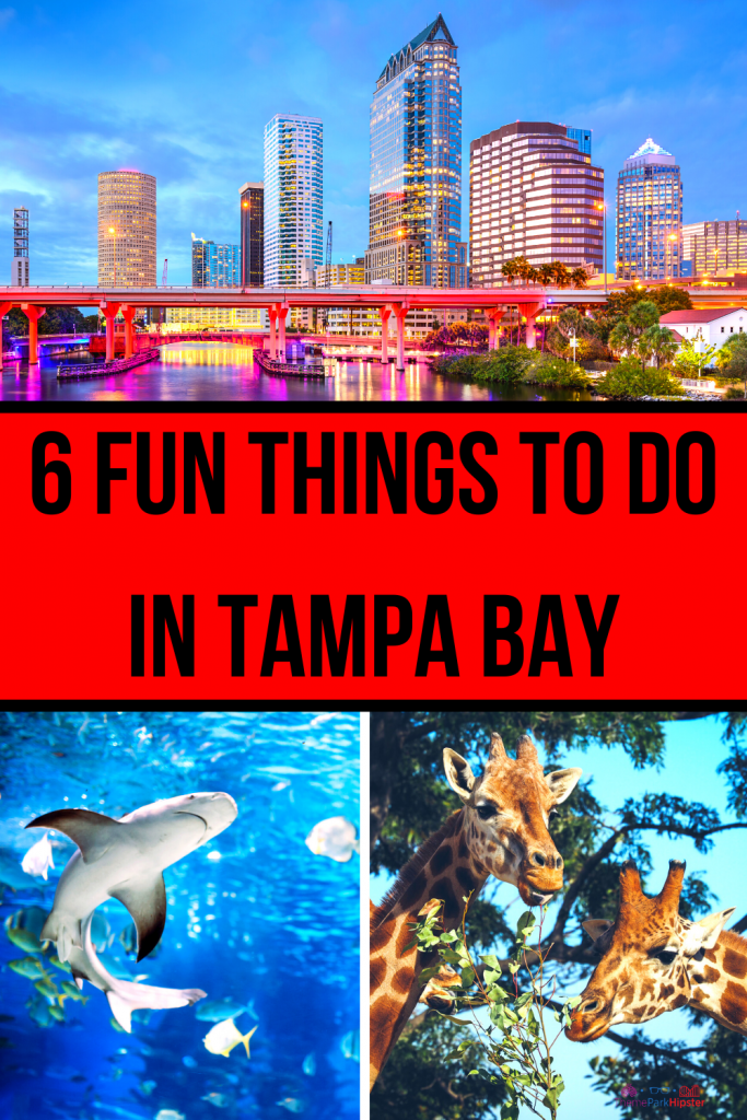 Fun things to do in Tampa with CityPass