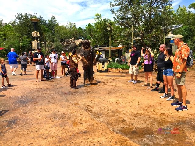 Chewbacca Interacting with Guests at Hollywood Studios in Disney World.