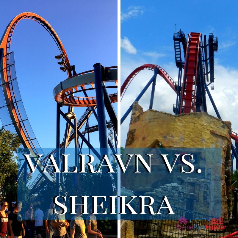 Valravn vs Sheikra Dive Roller Coaster