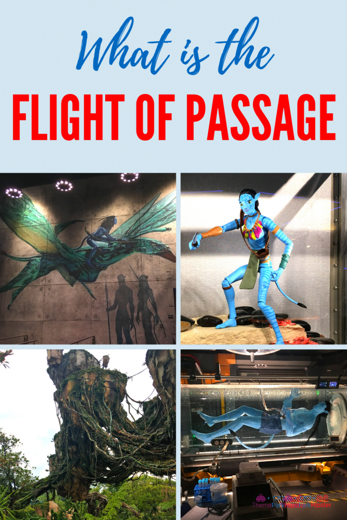 What is the Pandora Flight of Passage Ride with Tips and Guide
