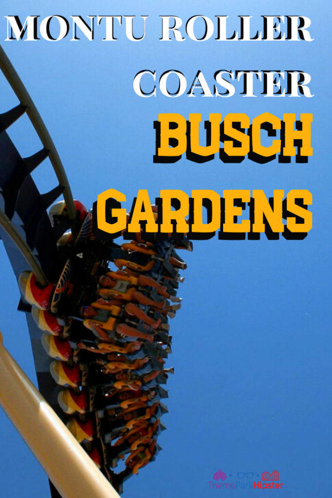 montu roller coaster busch gardens