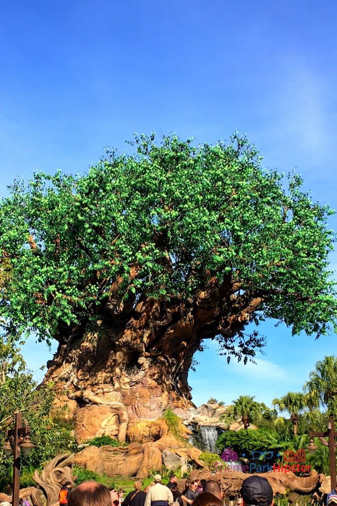 Animal Kingdom Tree of Life. Keep reading to learn about the top best fun things to do at Disney World for adults.