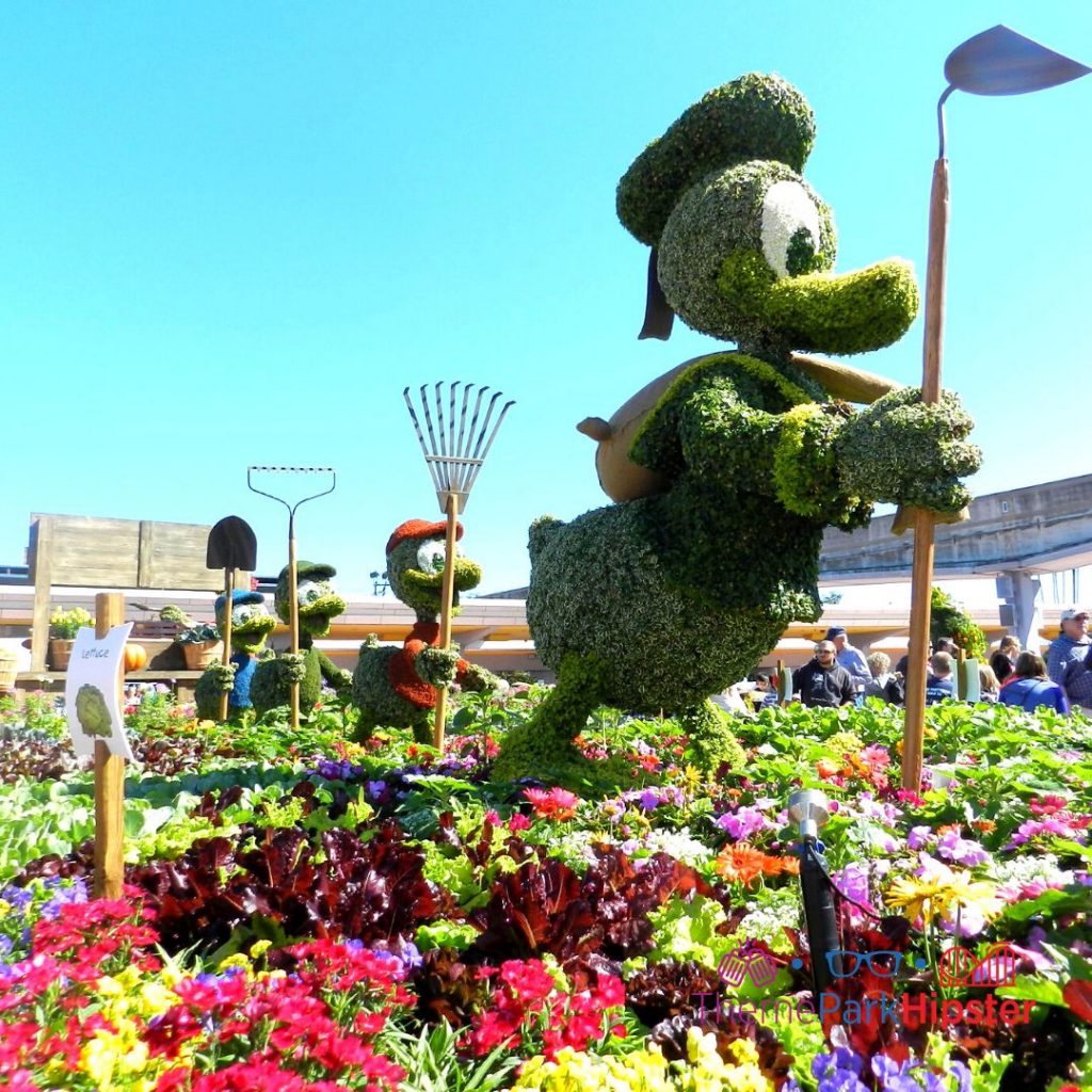 Epcot Flower and Garden Festival Donald Duck Huey and Dewey Topiary