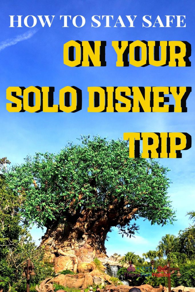 Theme Park Travel Guide on How to stay safe on your solo Disney World trip.