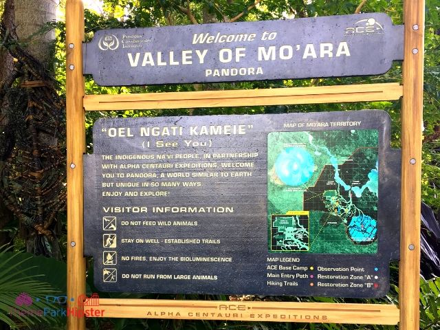 Valley of Mo'Ara Sign in Pandora World of Avatar