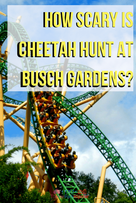 how scary is cheetah hunt at busch gardens