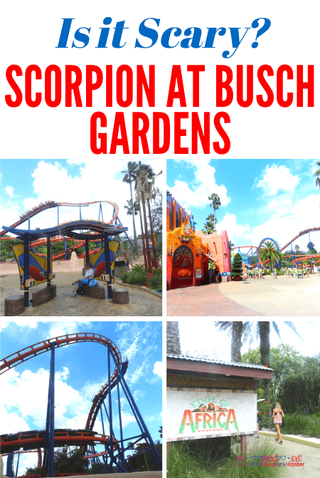 Is Scorpion Roller Coaster a scary ride at Busch Gardens Tampa