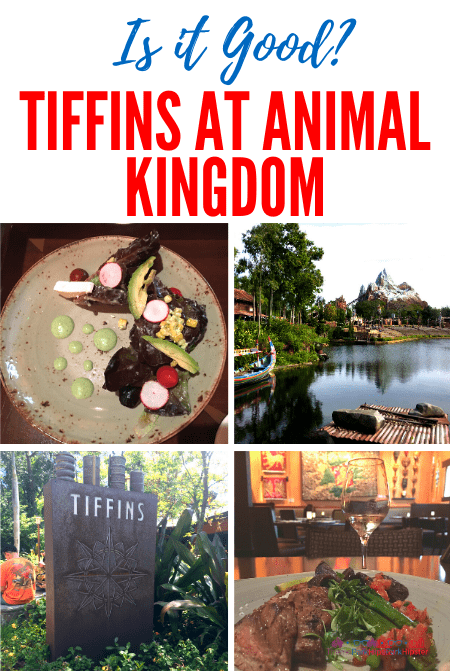Tiffins Restaurant at Animal Kingdom 