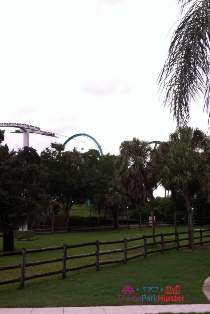 View from the Skyride at Busch Gardens Tampa Bay.