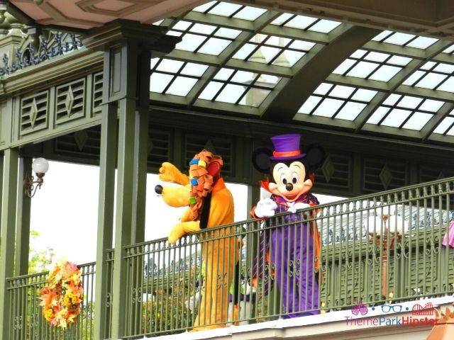 Magic Kingdom Halloween Mickey Mouse and Pluto in Costumes. Disney Characters at Disney World.