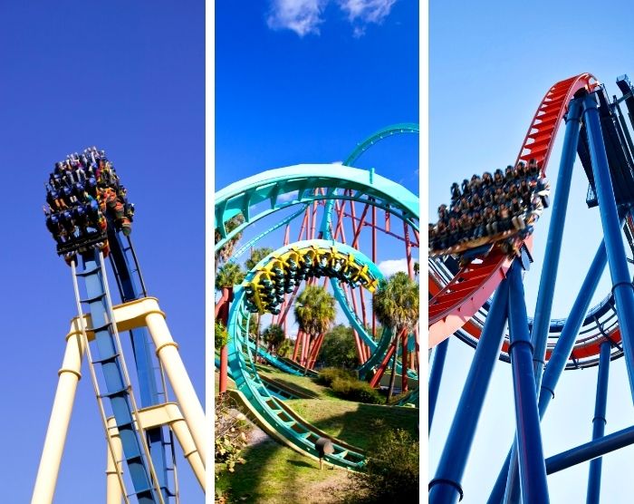 Best Busch Gardens Roller Coasters with Montu Kumba and Sheikra Roller Coaster
