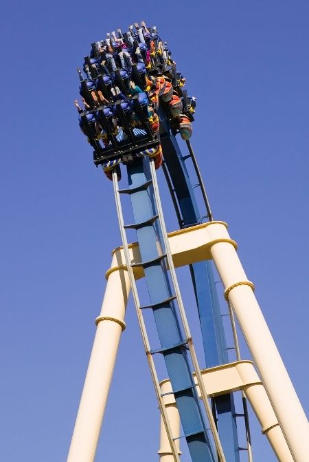 Montu Busch Gardens Roller Coaster