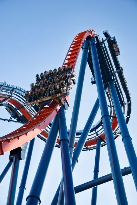 Sheikra Busch Gardens Roller Coaster. Want the perfect Busch Gardens itinerary? Keep reading to see is one day enough for busch gardens tampa.