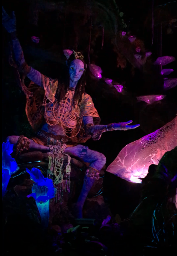 Shaman on Avatar Ride at Disney Animal Kingdom. Keep reading for the best Disney World Tips and Tricks for First Timers.