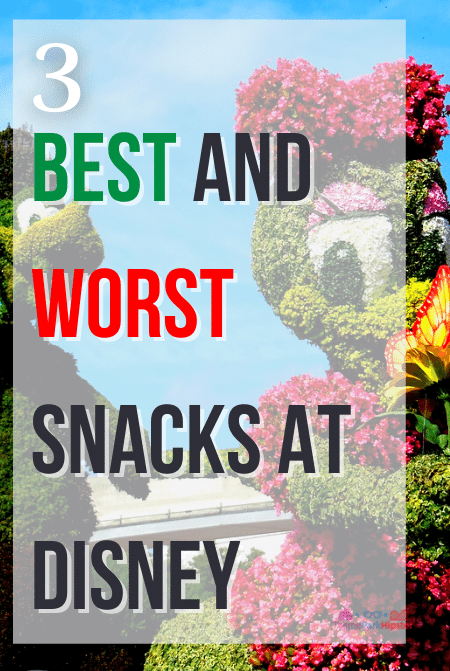Best and Worst Disney Snacks