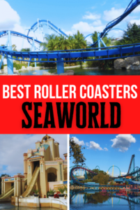 ALL SeaWorld Orlando Roller Coasters RANKED (2024) - ThemeParkHipster